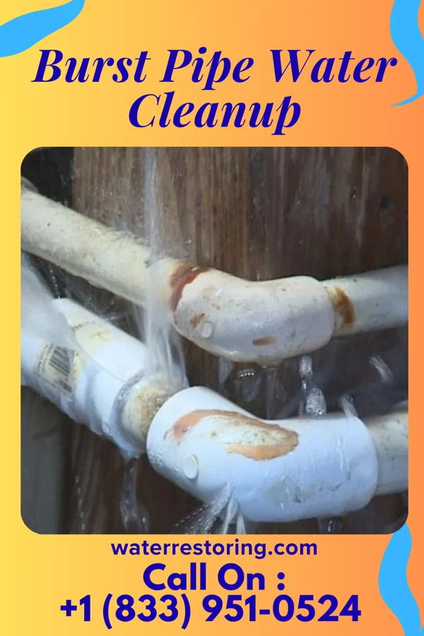 Burst Pipe Water Cleanup in Gorman, MD