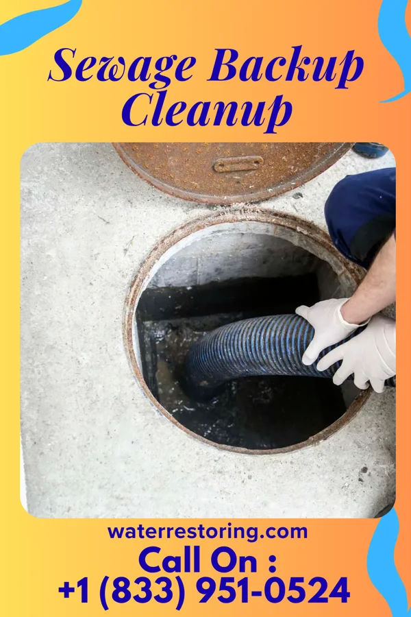 Sewage Backup Cleanup in Gorman, MD