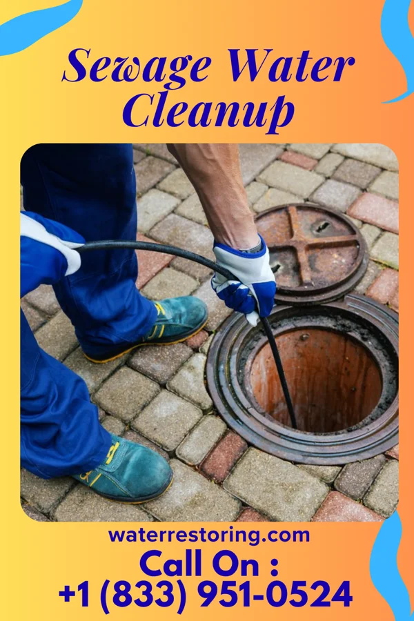 Sewage Water Cleanup in Gorman, MD